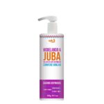 Widi Care Juba geleia de Alta Definição Modelando a Juba 300g - Image 1